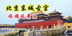男生插女生的小穴视频中国北京-东城古宫旅游风景区